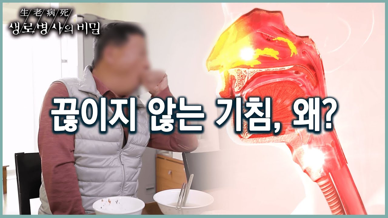 하루종일 끊이지 않는 기침, 원인 질병은 무엇일까? (KBS 20220316 방송)