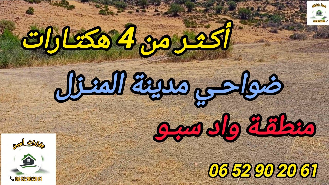 2025/8/29 : أرض ملكية أكثر من 4 هكتارات بمنطقة واد سبو 🌊 بثمن 20 مليون . الهاتف : 0652902061