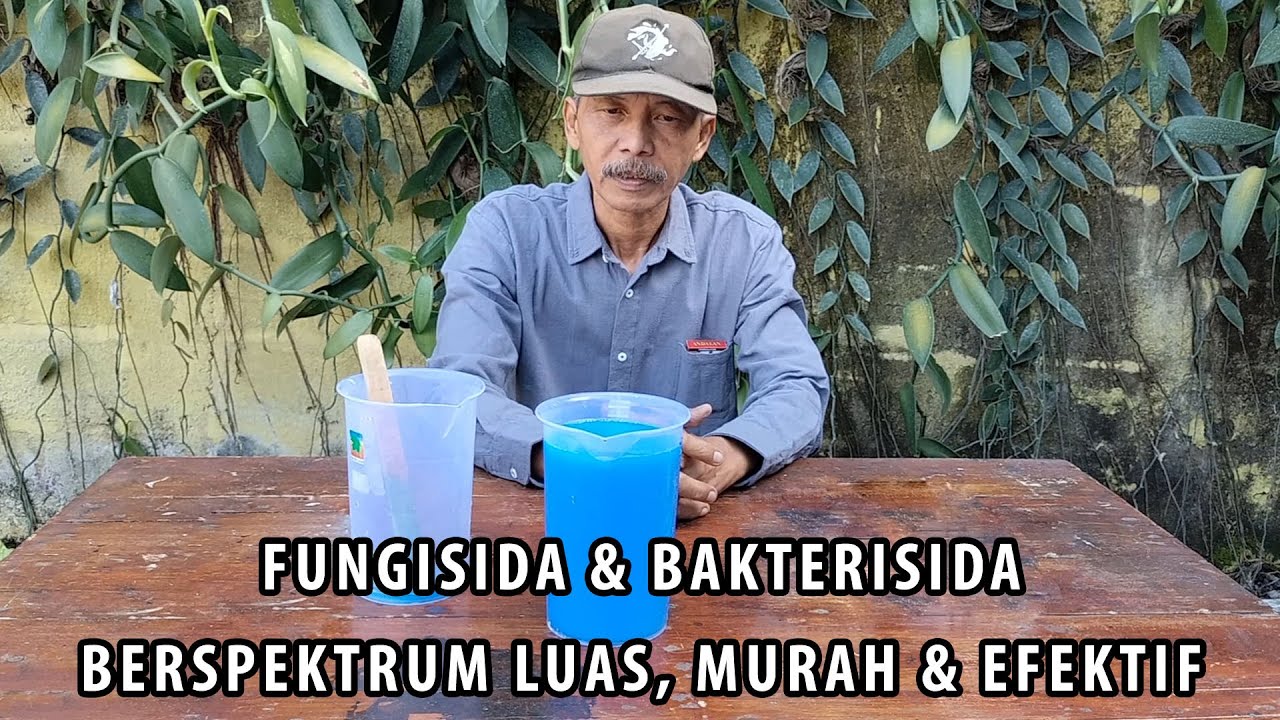 FUNGISIDA & BAKTERISIDA BERSPEKTRUM LUAS, MURAH & EFEKTIF