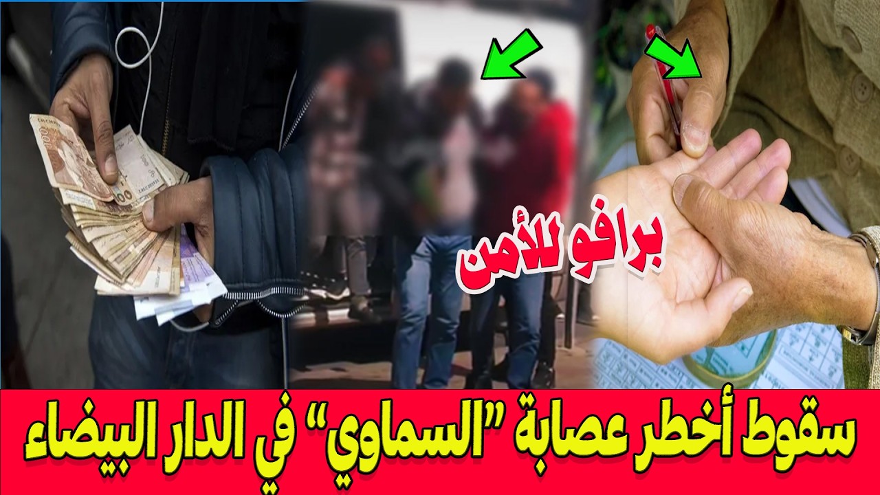 برافو للأمن .. سقوط أخطر شبكة لـ 
