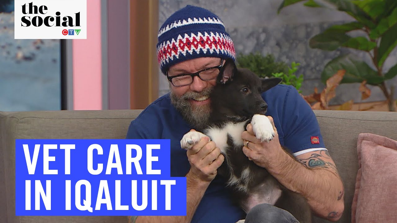 Veterinary Care in Iqaluit with Dr. Cliff Redford | The Social