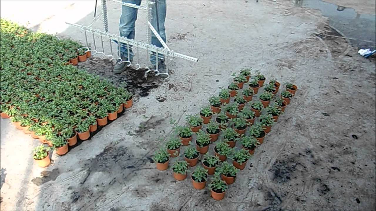 Spacing Forks 2011