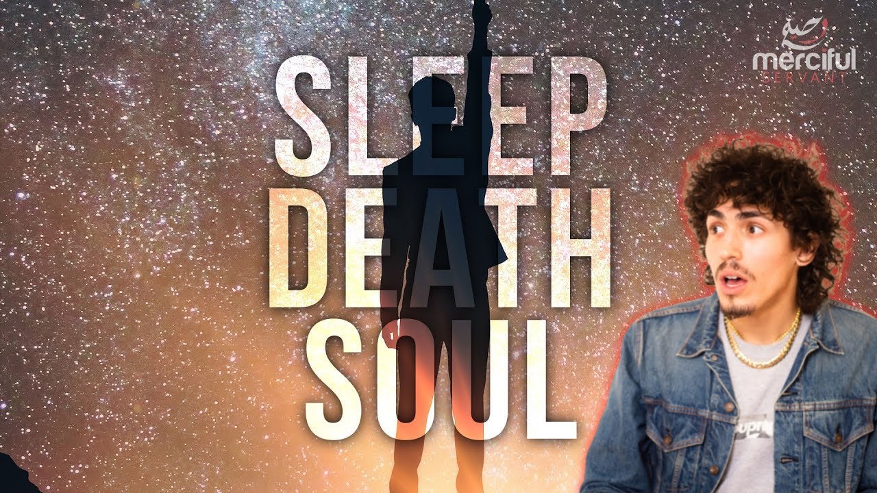 What Happens During Sleep?