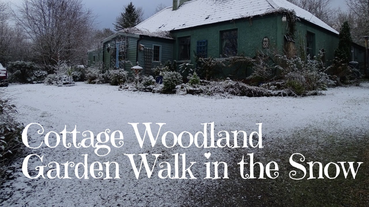 Cottage Woodland Garden Walk in the Snow