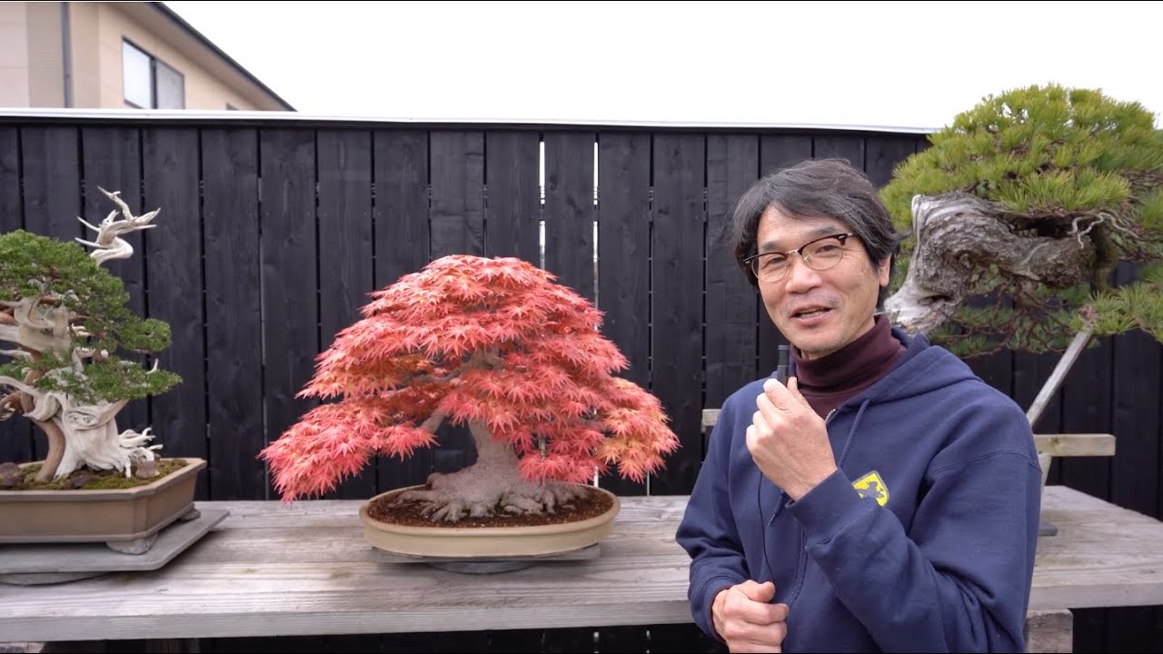 [ 園内の名木紹介 ] 大島健資 先生 大島明樹園