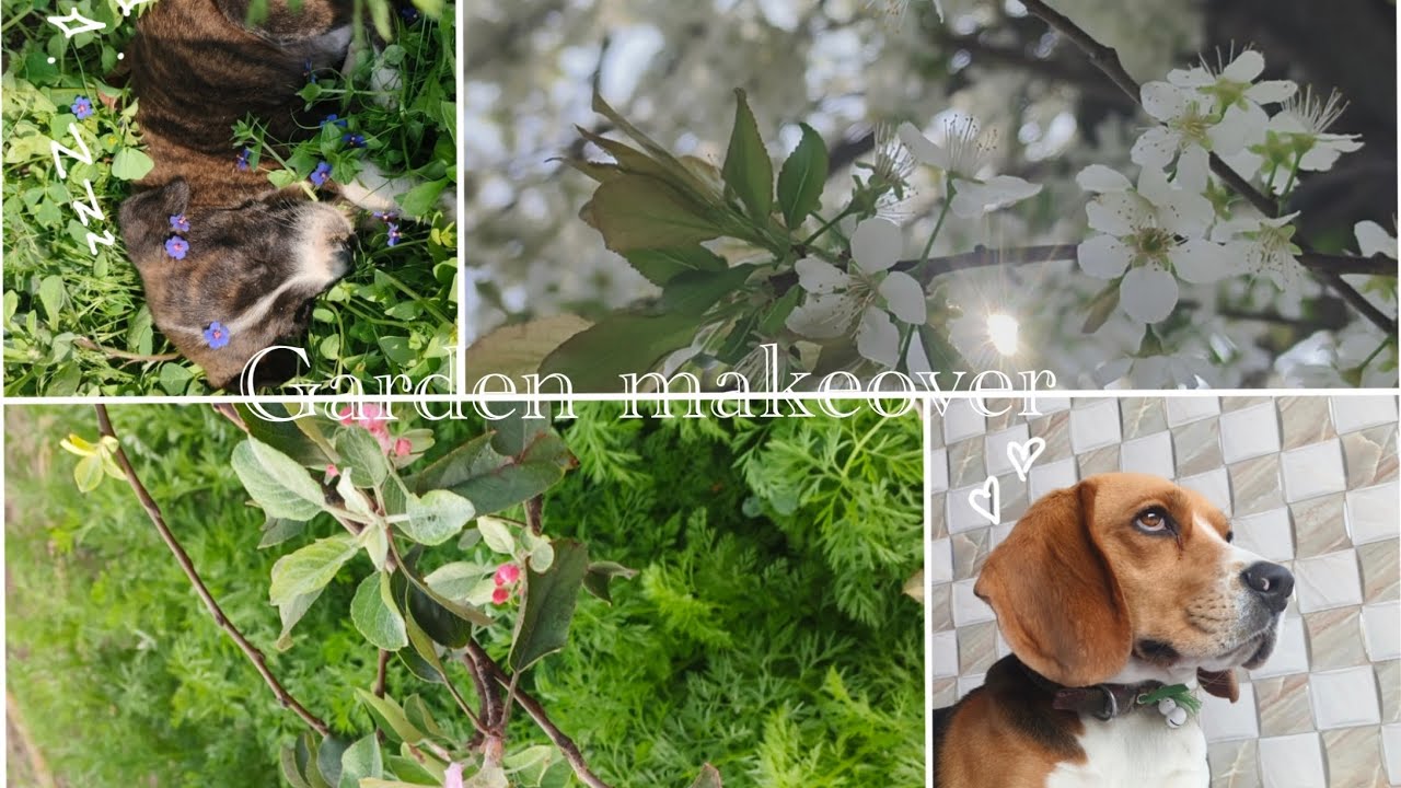 Season Change in My Garden 🌸 Winter Veggies Out, Summer Veggies In | Village Garden Vlog