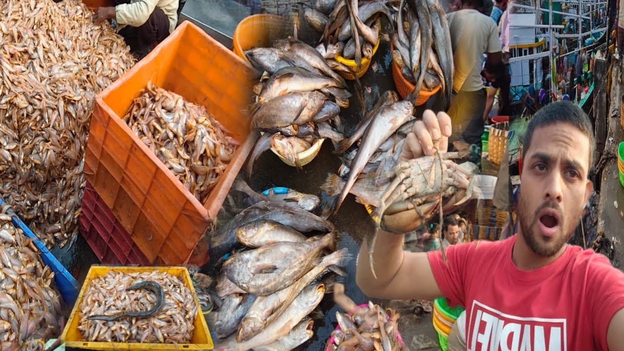 Bhaucha dhakka wholesale fish market Mumbai bhaucha dhakka fish market Mumbai biggest #