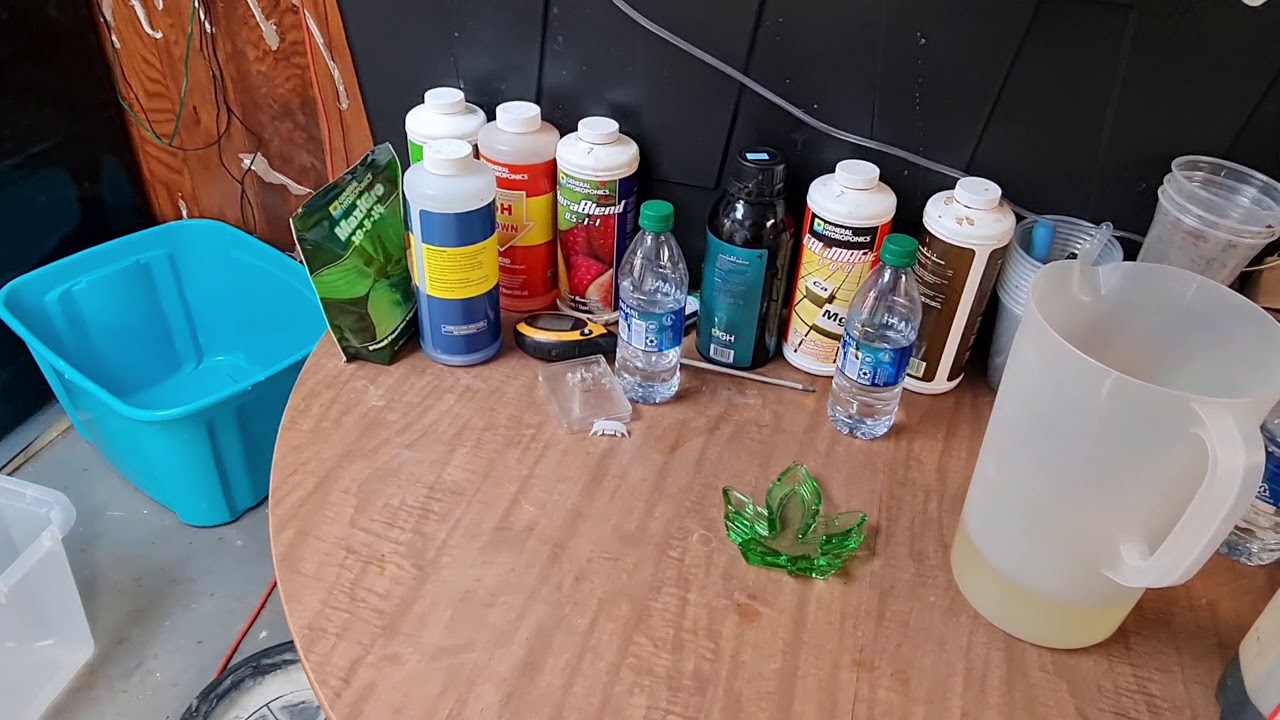 Today In The Growroom  EP 1