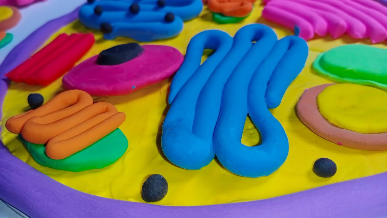 HOW TO MAKE ANIMAL CELL USING CLAY #biochemistry #shortvideo #videotutorial