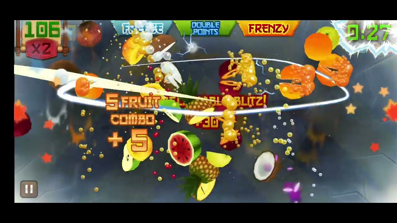 Fruit Ninja World Record 3013 Points