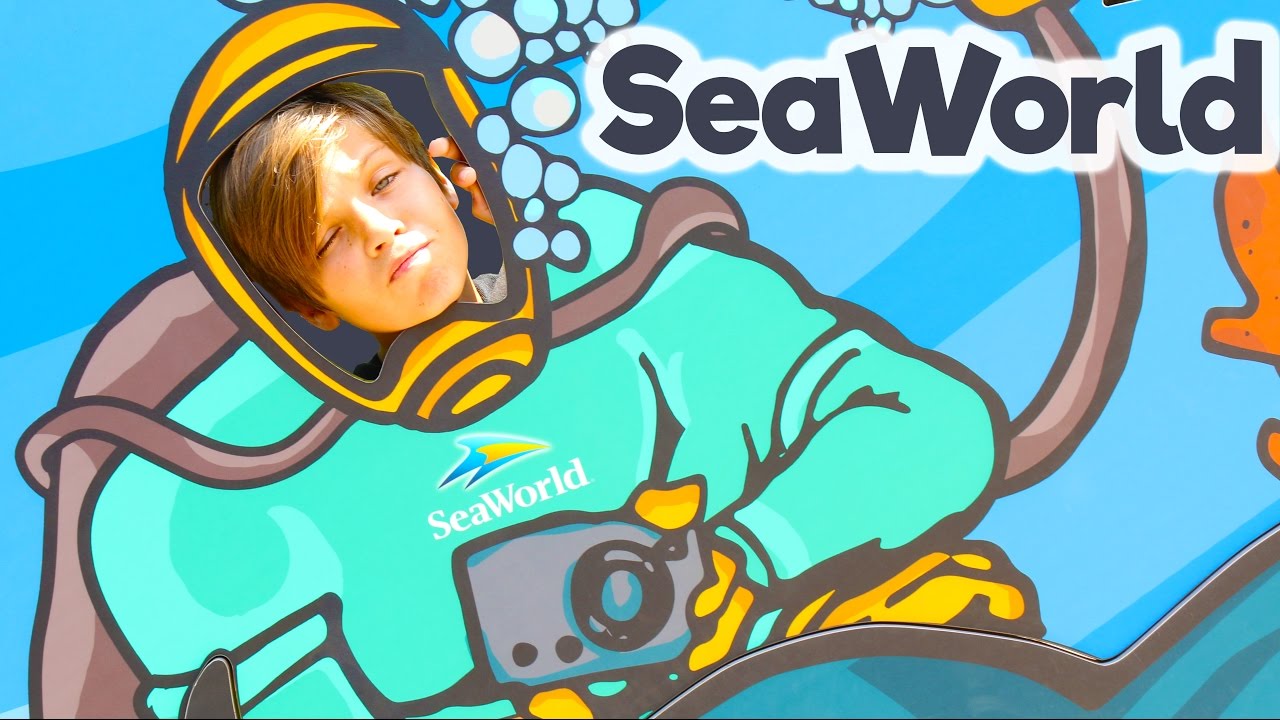 WHAT TO SEE @ SEAWORLD ORLANDO | Family Fun Vlogs
