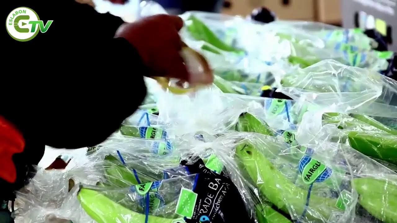 Emisión en directo de ESLABON TV