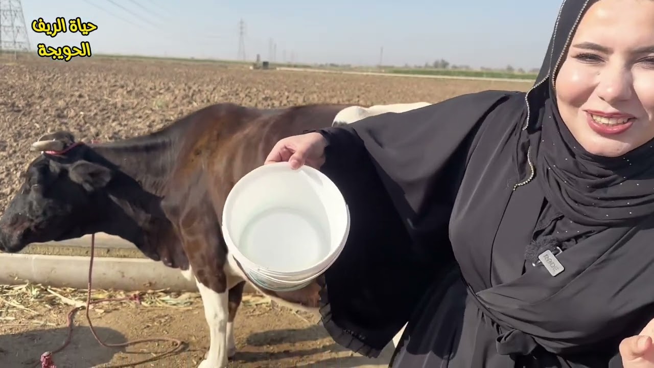 تعالو انعيش حياة الريف في قضاء الحويجة كركوك ليوم واحد فقط يله😍