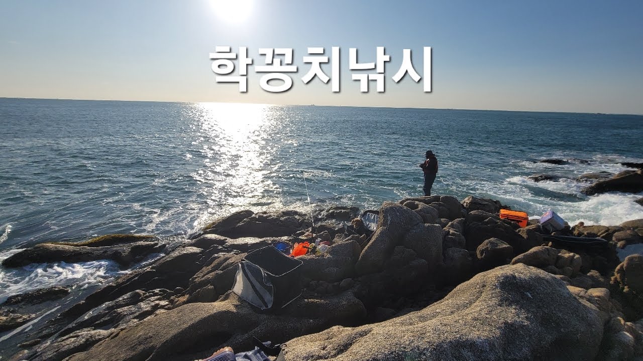 기장권갯바위2부(아직 너울파도-겁나추움)👉학꽁치낚시👈#학꽁치 #fishing
