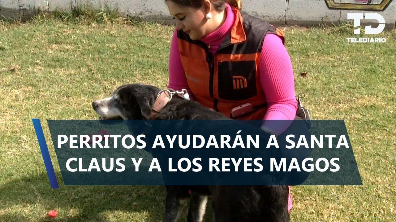 'Lomitos' rescatados del Metro CdMx atenderán cartas enviadas a Santa Claus y Reyes Magos
