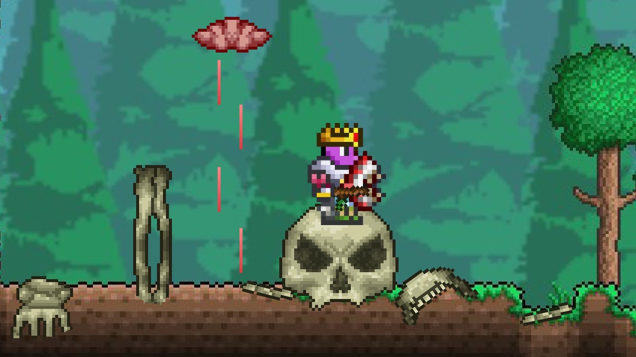 Disrespecting Expert Skeletron With a Wand of Sparking