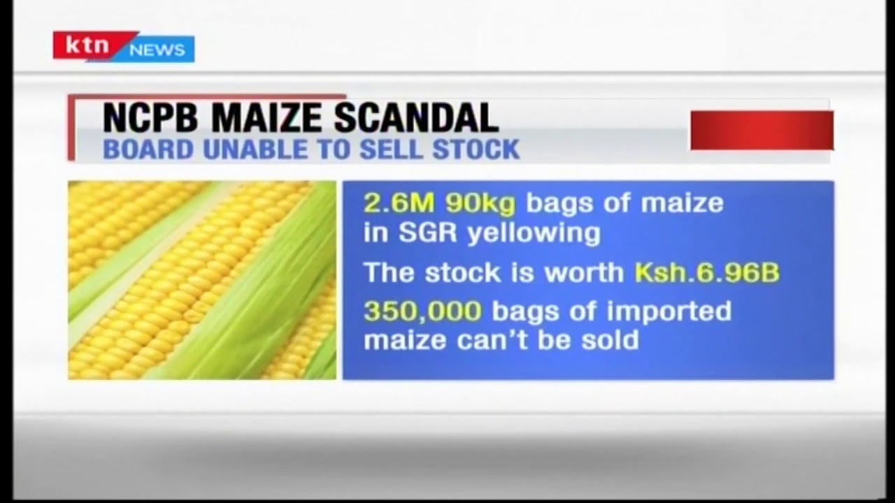 NCPB maize scandal: 2.5 million bags may be destroyed