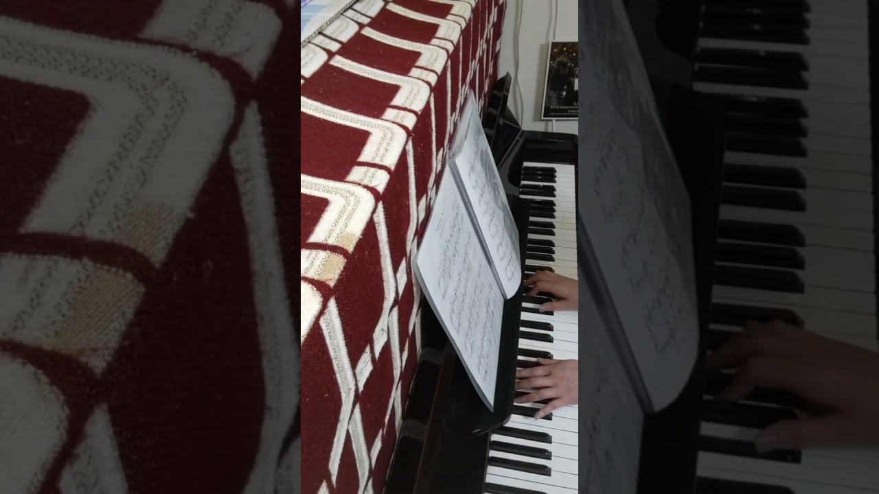 真昼の 交響曲 第2番 第3楽章 2026 02 15