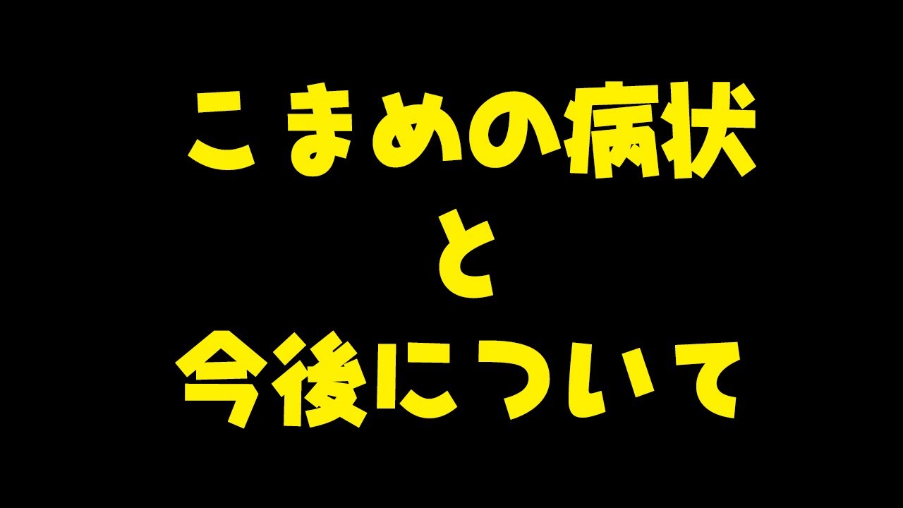 姉柴犬こまめの現在の病状と余命&hellip;これからについてのお知らせです
