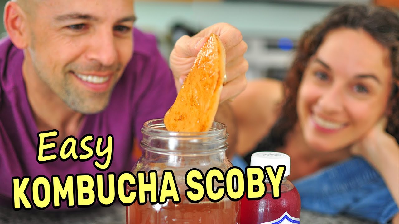 Приготовление комбучи Scoby с нуля (СПОЙЛЕР: это очень просто!)