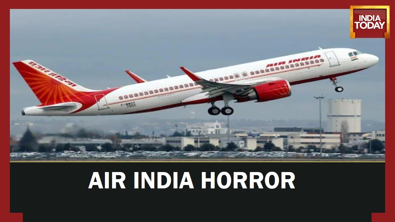 Cops Directed To Arrest The Accused Who Urinated On Female Passenger In Air India Business Class