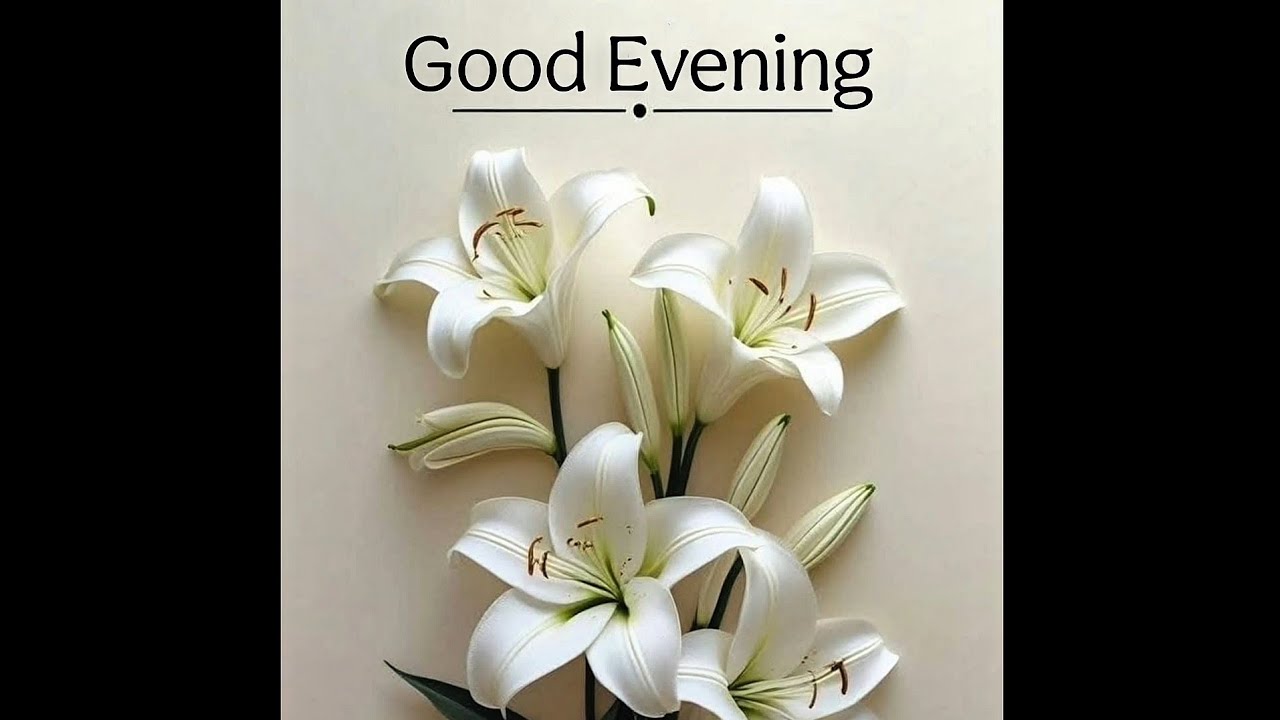 Good Evening Wishes