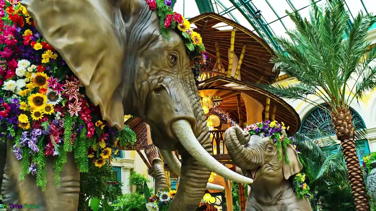 Summer in the Jungle at Bellagio Conservatory | Sony a6400 Photography Tour