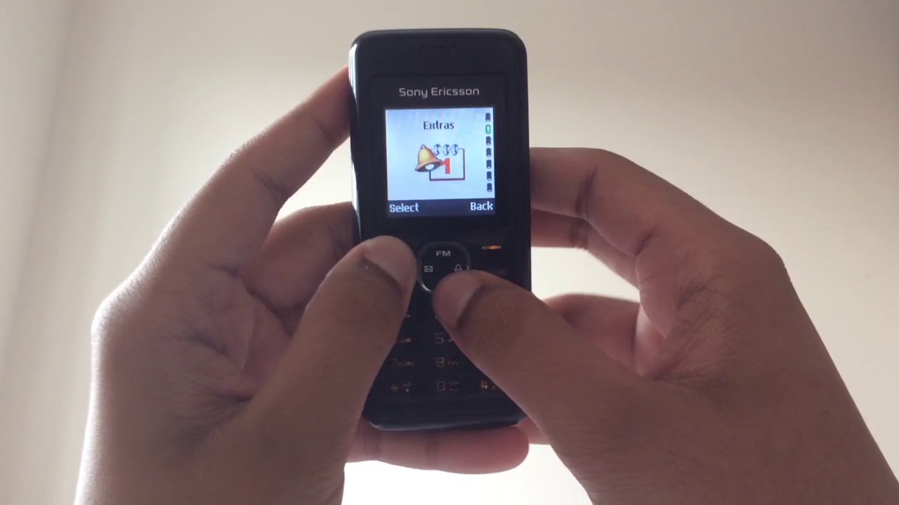 Edacious Snake (Sony Ericsson J132) - Perfect Game!!!