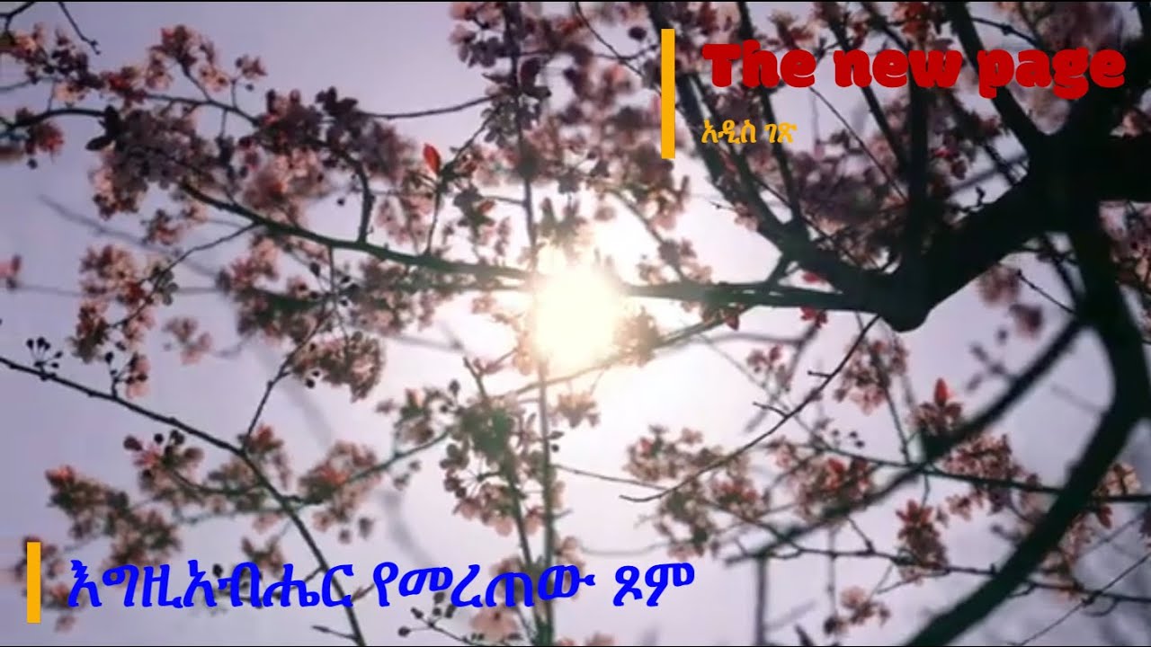 እግዚአብሔር የመረጠው ጾም፤ ያልተመረጠ ጾም፤ የተቀደሰ ጾም፤ የጾም ዓይነት፣ የጾም ጥቅሞች