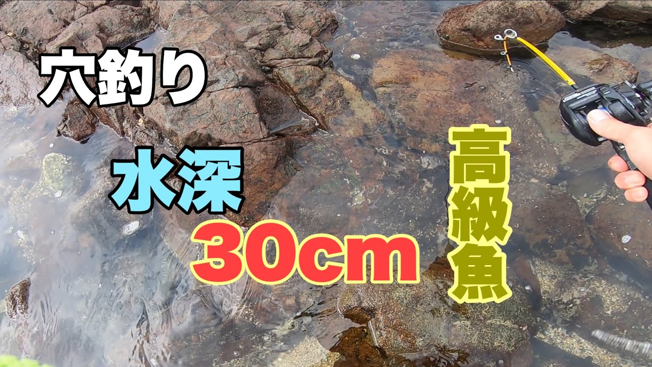 【ギンポ】【ギンポ釣り】【穴釣り】【大洗ゴロタ】#40 水深30cmに、高級魚！何気に引きが強よく、しかも沢山釣れます
