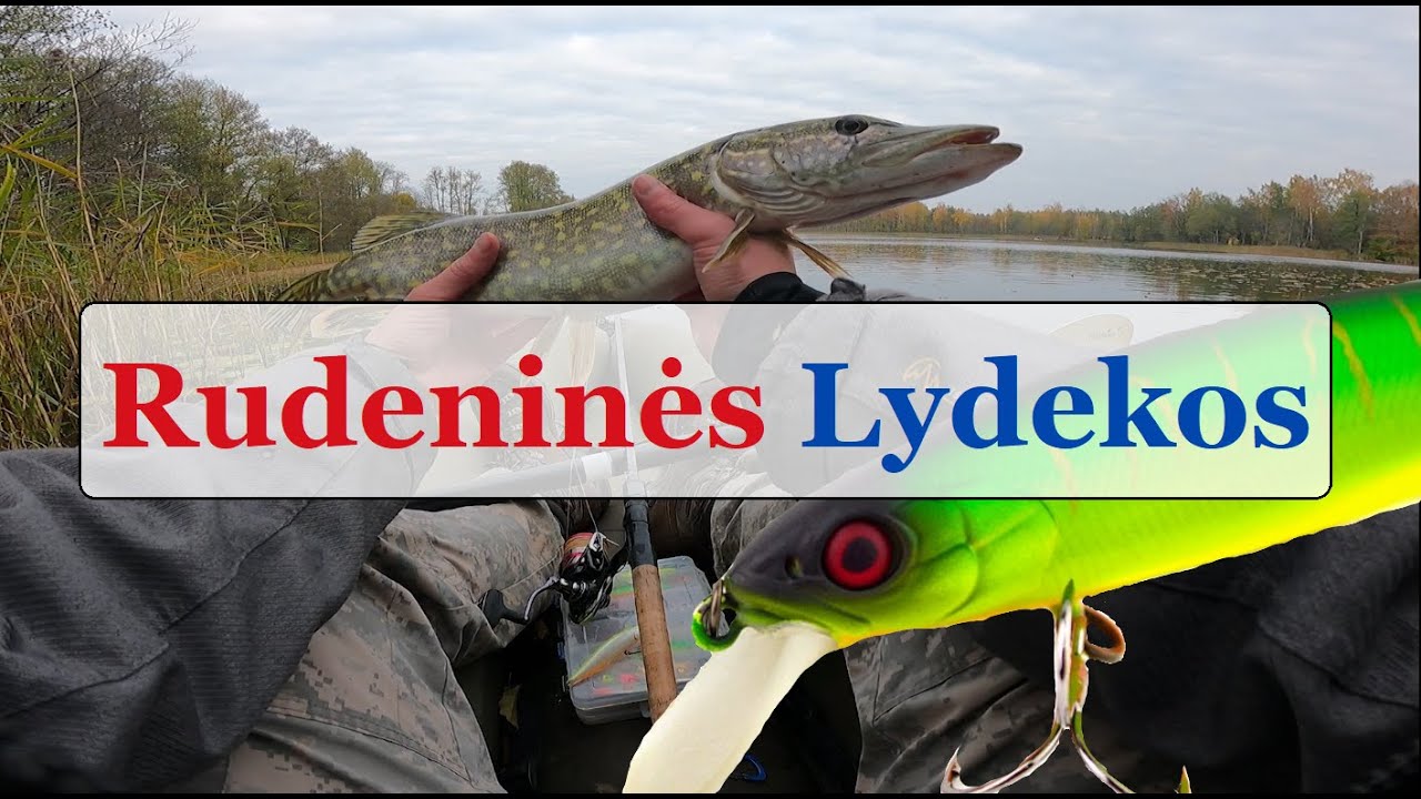 Rudeninės Lydekos - Gabrielius Ser