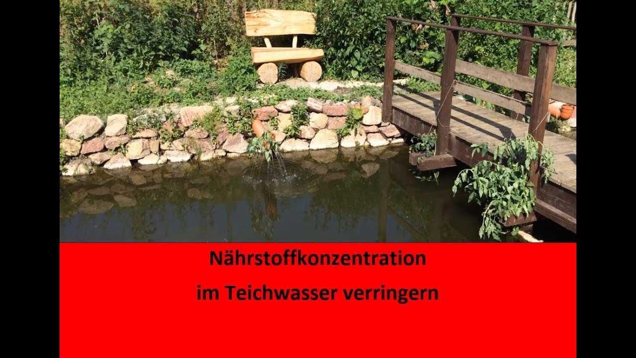 Nährstoffkonzentration im Forellenteich reduzieren #1