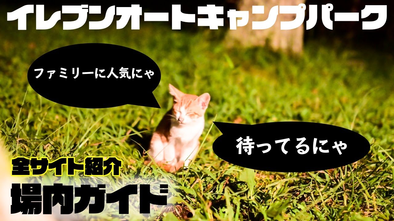 【千葉キャンプ場紹介】イレブンオートキャンプパークの場内ガイド！プール、ブランコ、卓球台、釣り堀、トランポリンetc...ファミリーに大人気のキャンプ場🎪