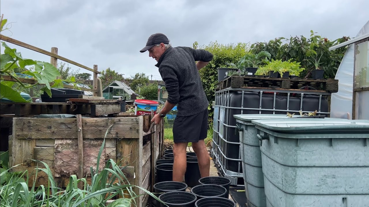 Why I still grow &lsquo;Christmas&rsquo; potatoes!