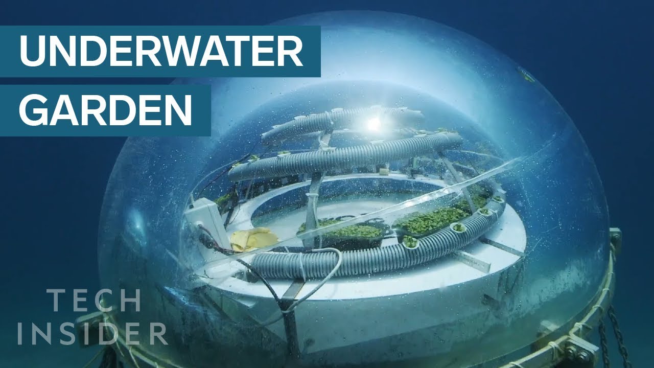 The Italian Farm That's 8 Meters Below The Sea