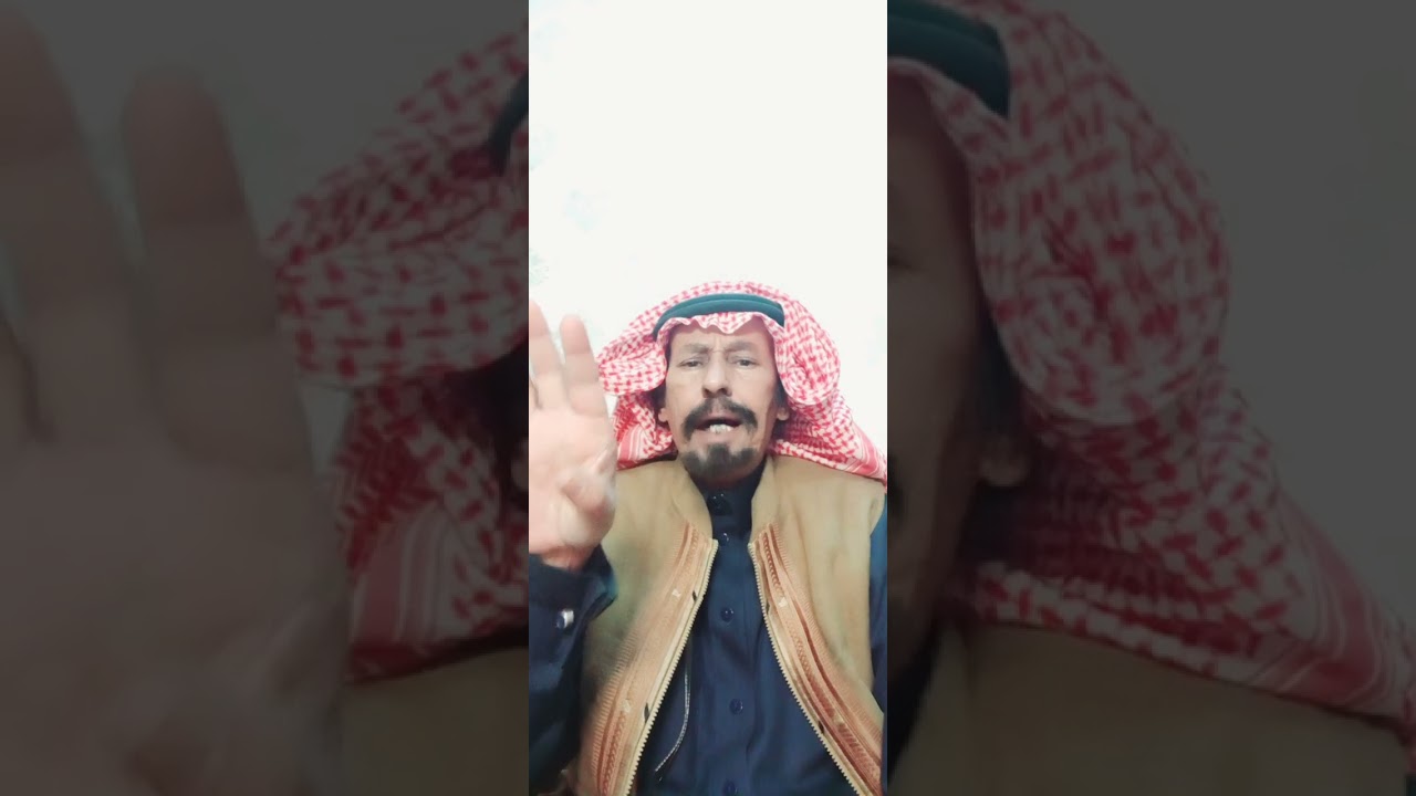 قصه هل البل (٣١٢)