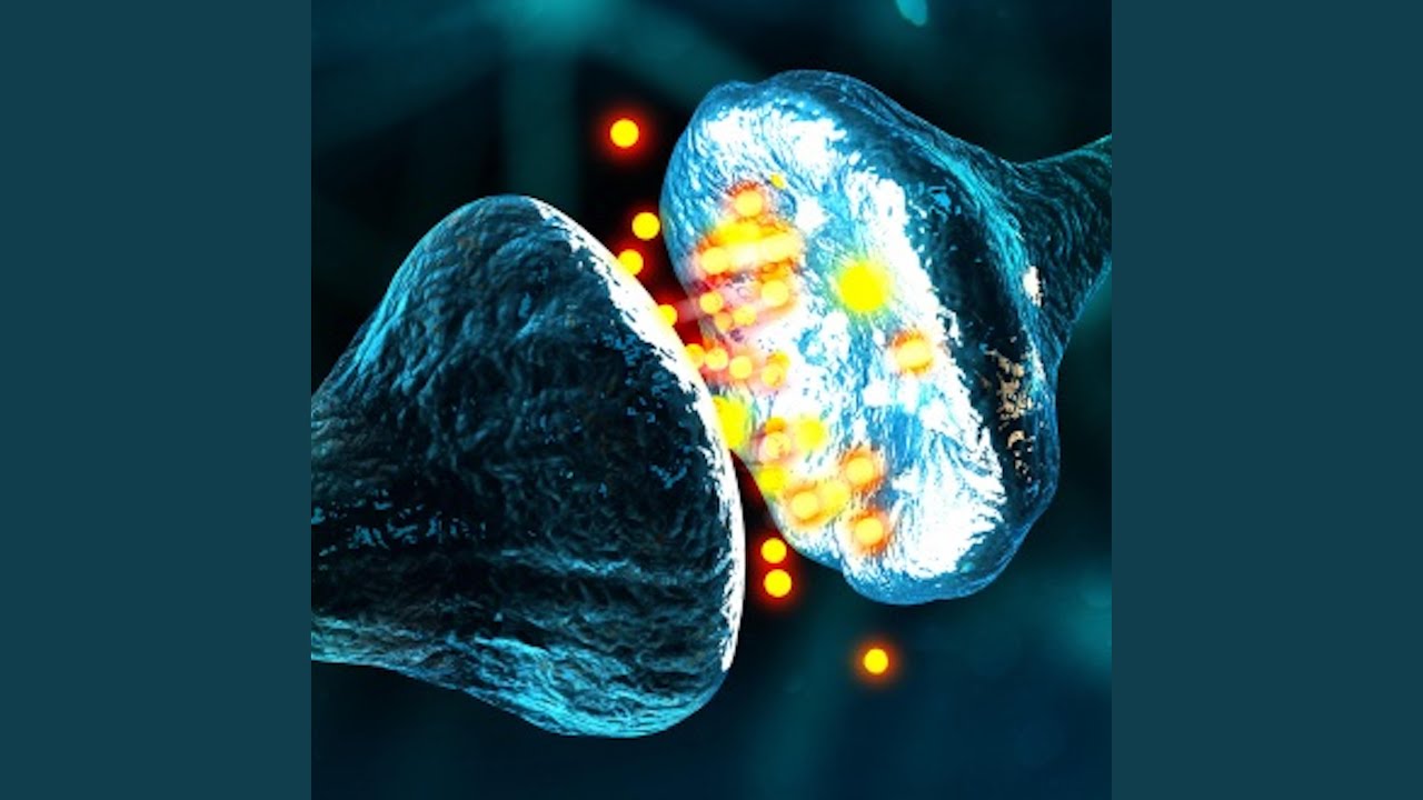 IMPULSINAPSI