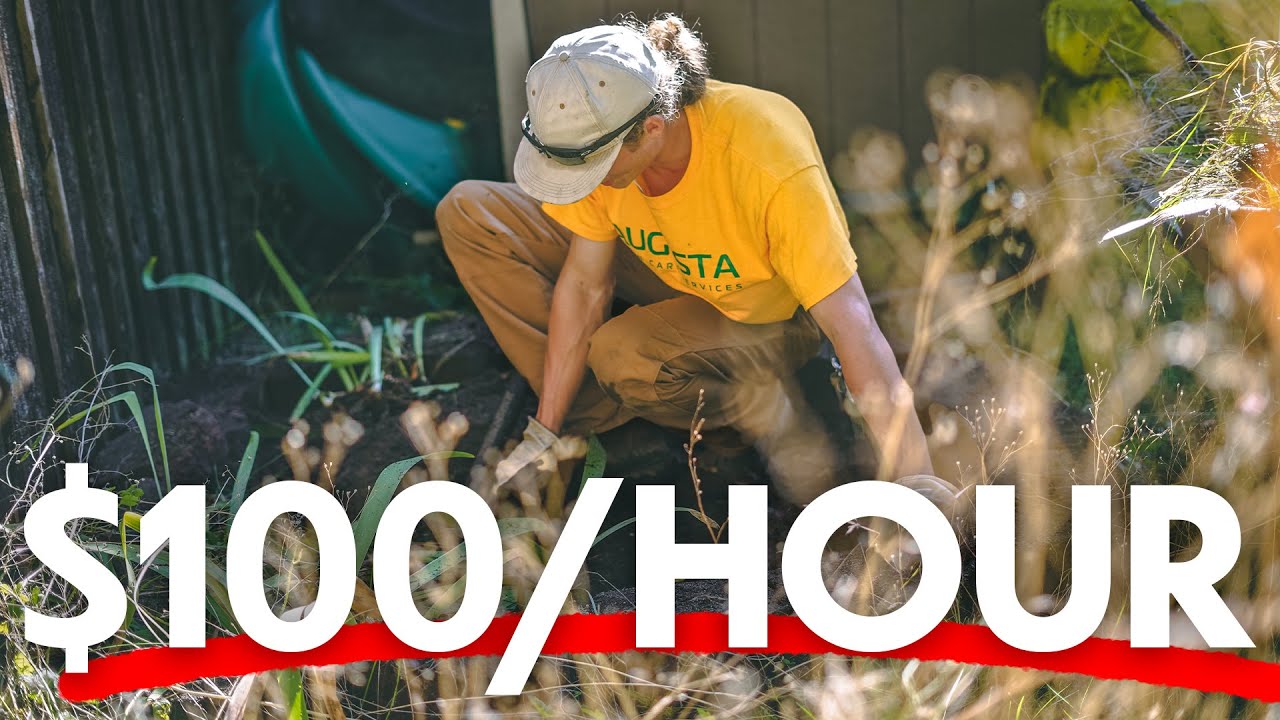 How much should I charge for lawn Care services? 💵 🤔