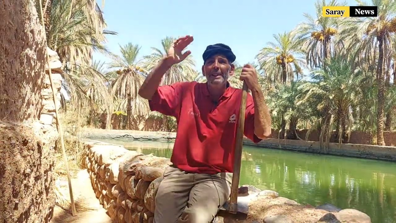 سرديات بستانية .. من واحة فجيج .. Oasis Figuig : mémoire jardinière.. d'antan ..