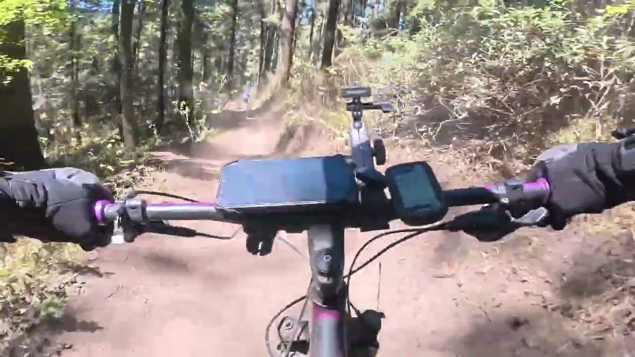 MTB Desierto de los Leones 2026