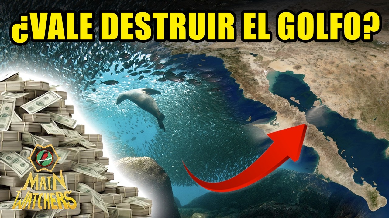 EXTRANJEROS QUIEREN EL GOLFO de CALIFORNIA