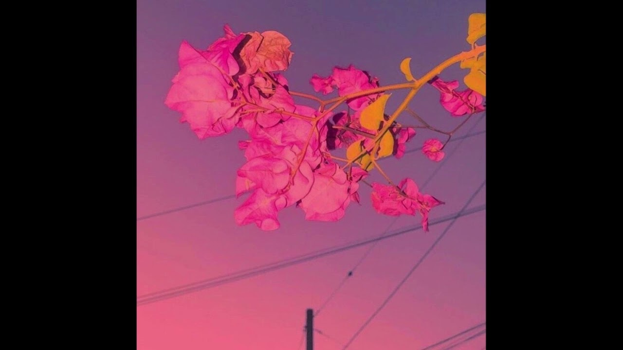 [FREE FOR PROFIT] Lauv x Marshmello x Pop Type Beat 