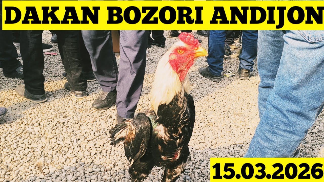 DAKAN BOZORI ANDIJON 15.03.2026