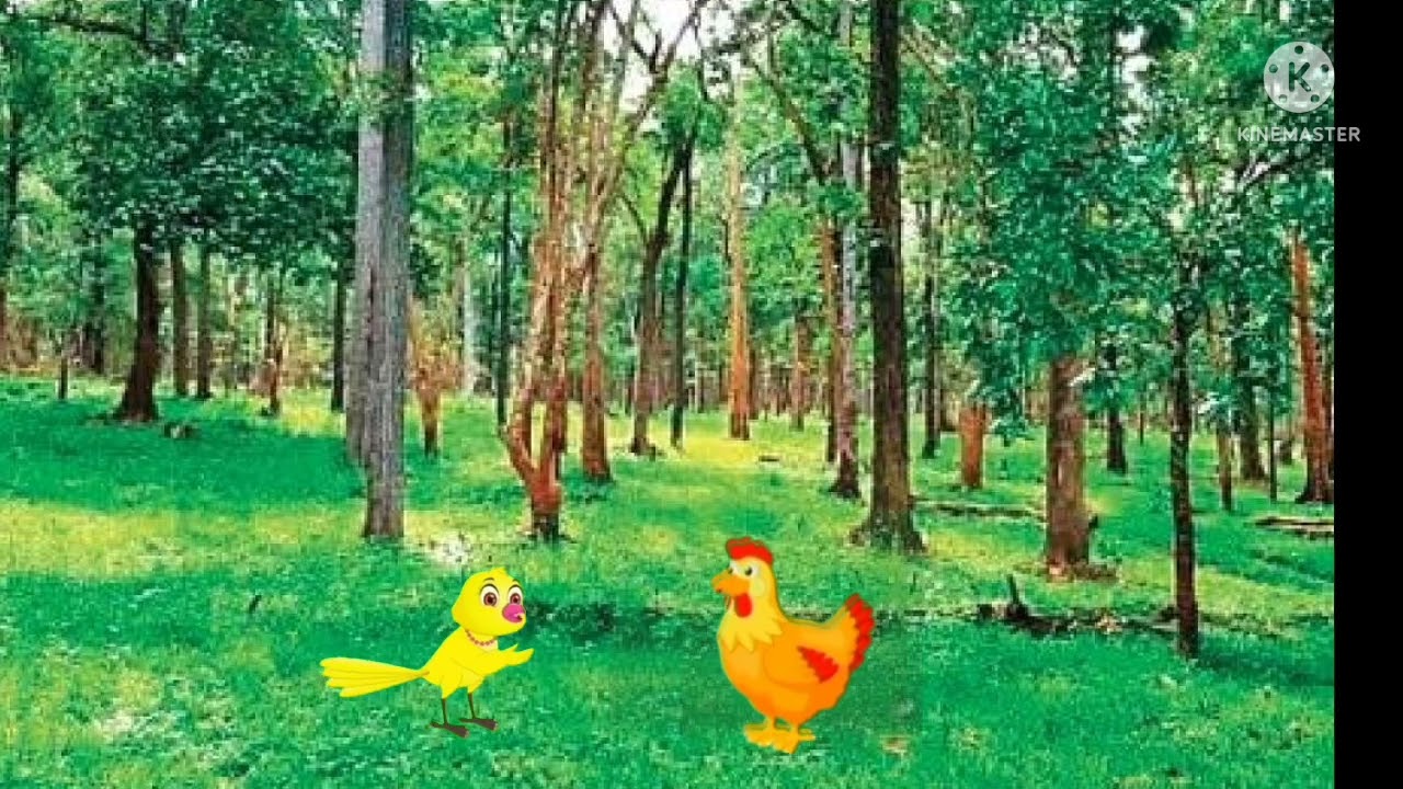 Cartoon In Jungle