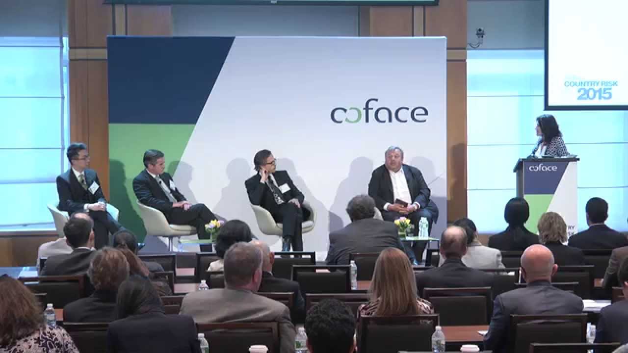 Coface Country Risk Conference  2015 Q&A