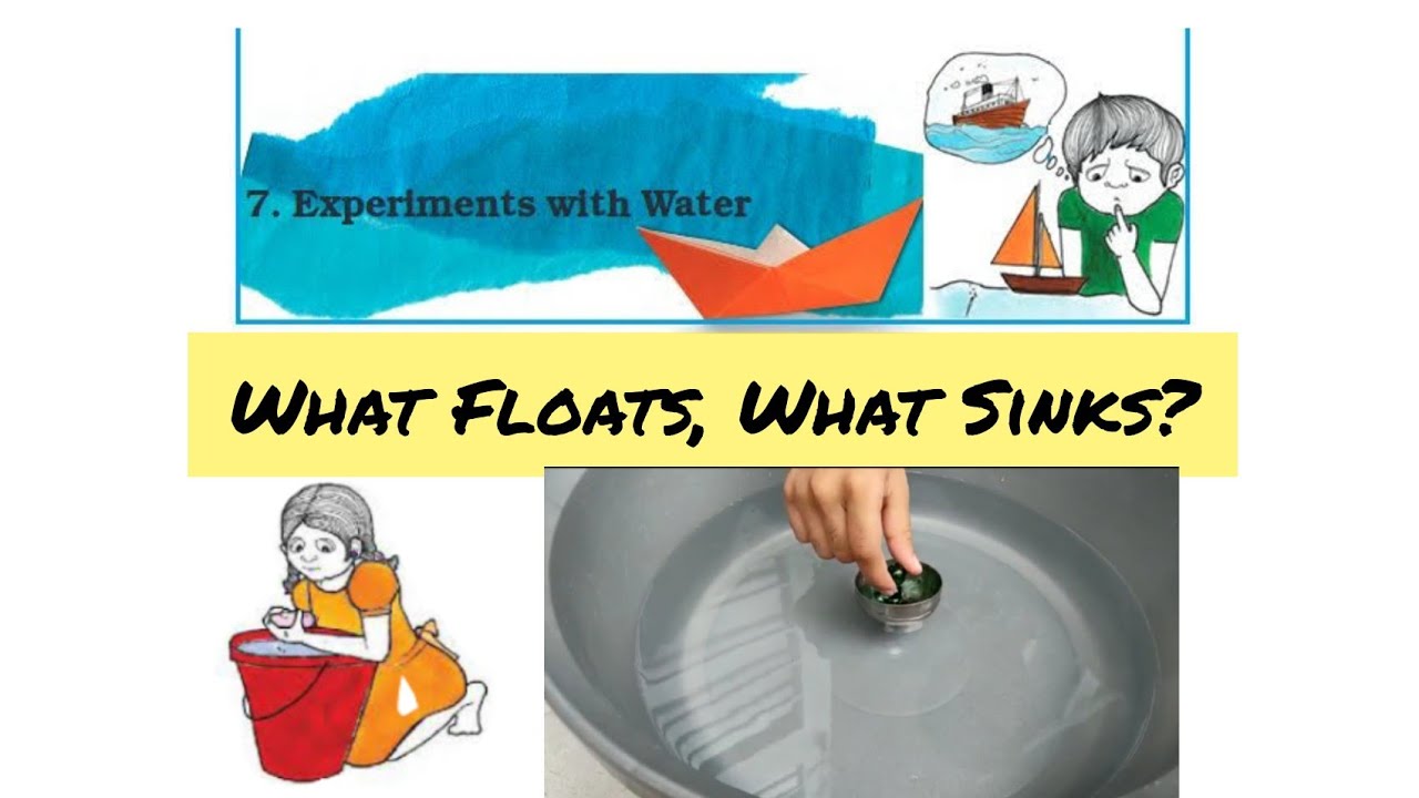 What Floats, What Sinks? /7.Experiment With 💦 Water/ Class- V EVS/ Online activity by students.
