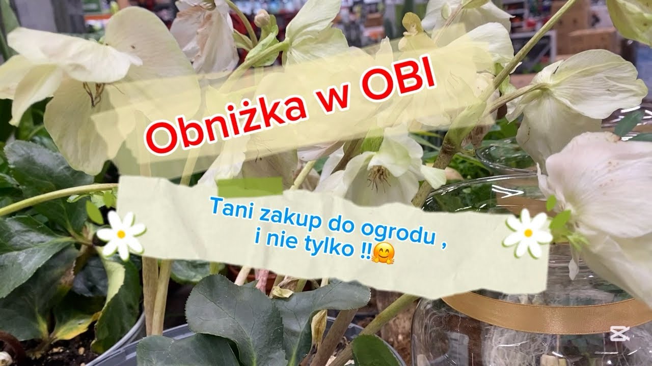 Ale niespodzianka!😄Tak można kupować !!🤗