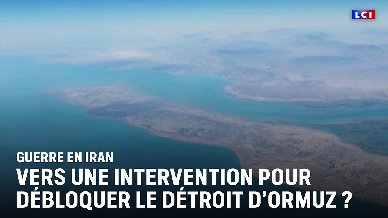 Guerre en Iran : vers une intervention pour débloquer le détroit d'Ormuz ?｜LCI