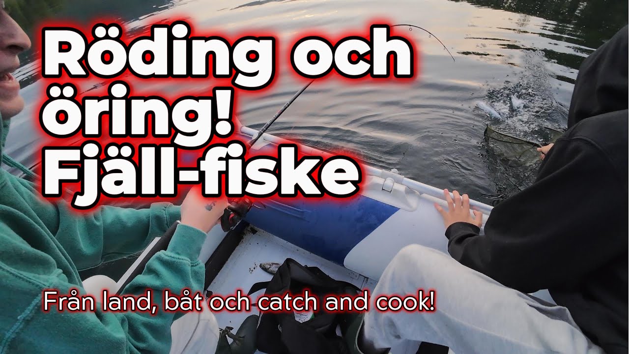 FISKE | Fjällfiske från land & båt | ÖRING och RÖDING | Kaos | Catch & Cook | 🔥