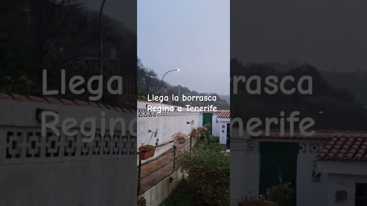 Borrasca Regina| Tenerife,  Canarias|02/03/26. #borrascaregina #lluvia #tenerife4k #wind